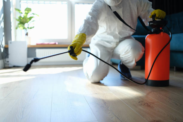 Reliable Sewage Cleanup contractor in Mission Hill, SD by Trauma Clean Pros